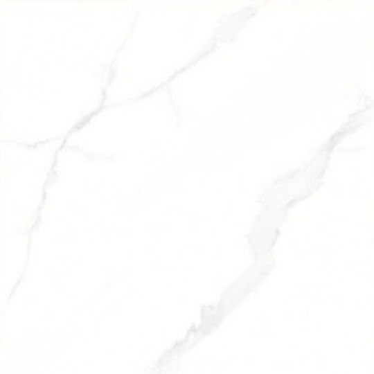 Gạch Porcelain 26904 (60x60)